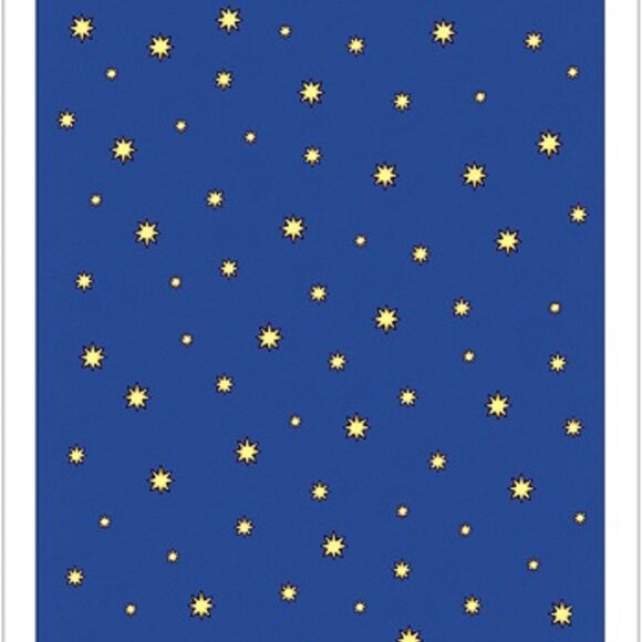 Radiant Rider-Waite Tarot, sat under Texas 100% total solar eclipse April 8, - Picture 8 of 8